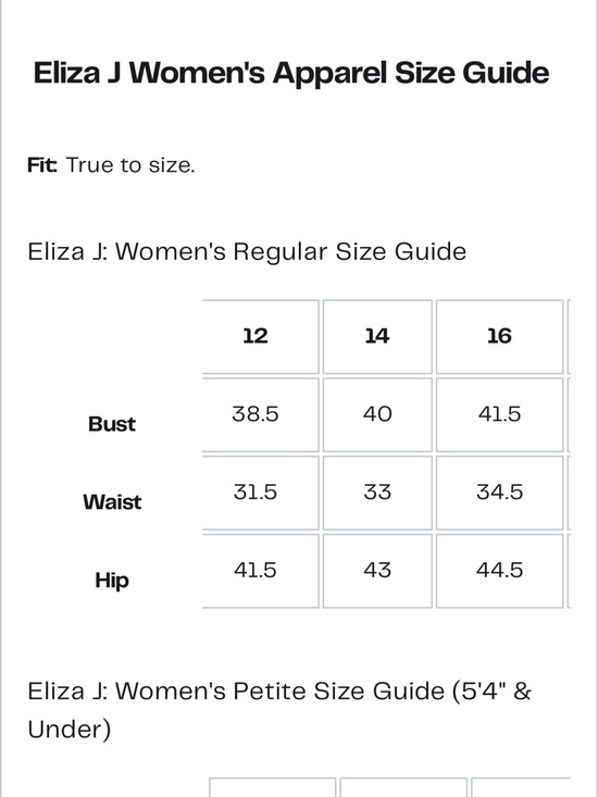 Eliza J Pinstripe Light Blue Striped Smocked Bodice Dress Size 14 NEW Preppy